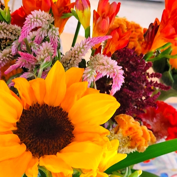 Meet your Posher, Noemi - Picture 2 of 2